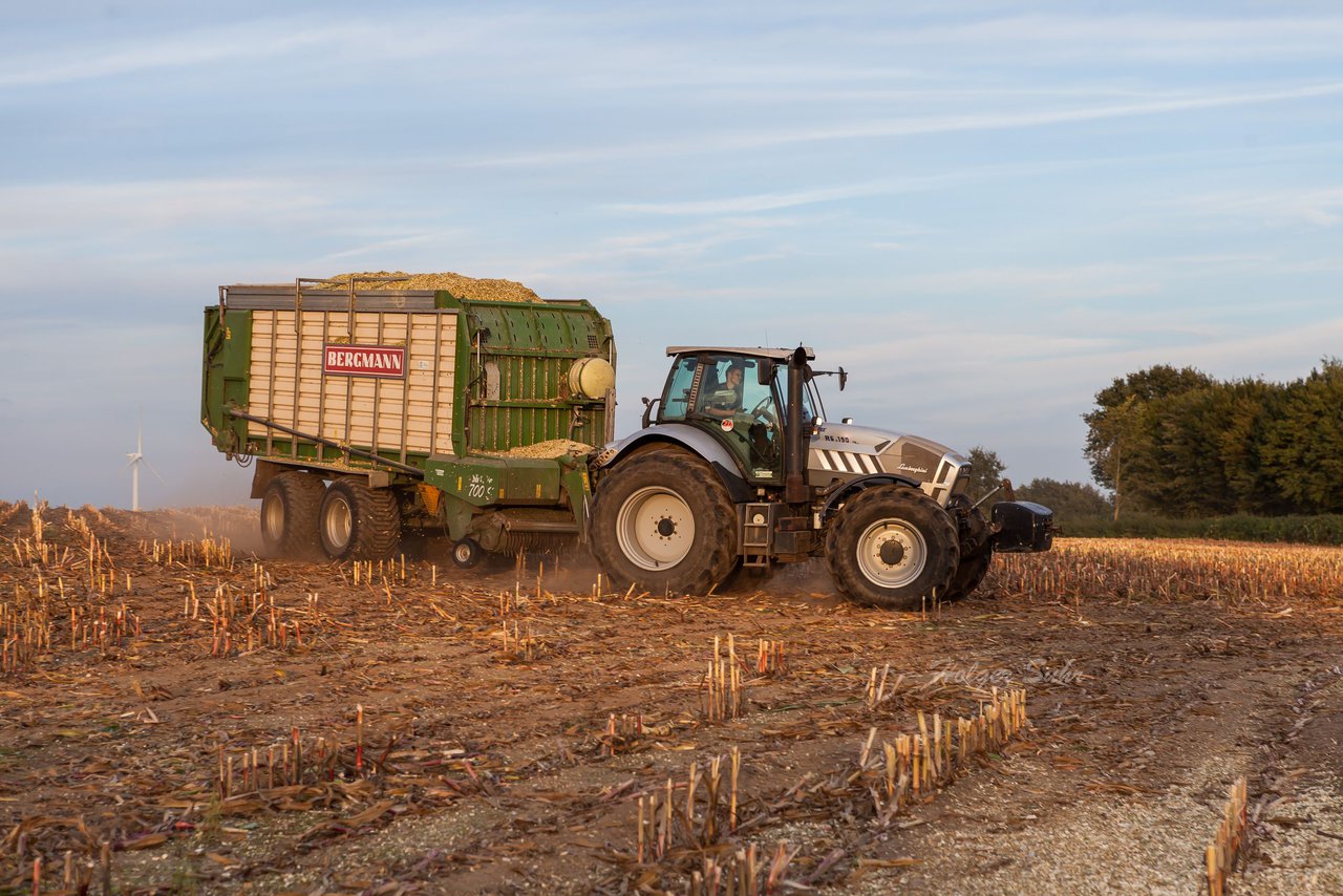 Bild 144 - Maisernte 2016